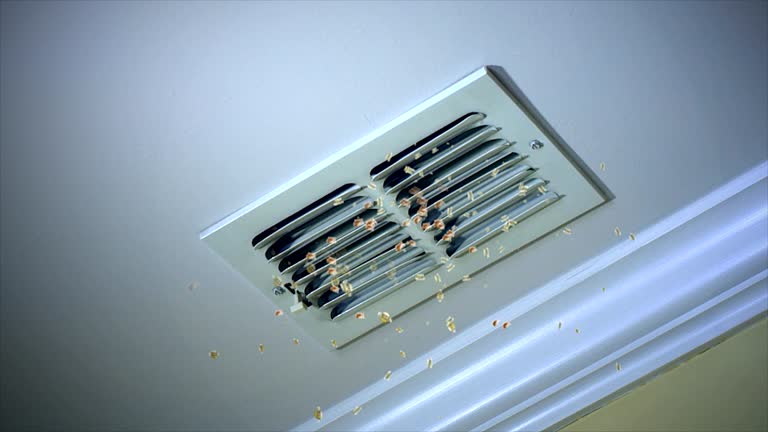 Best Professional Duct Cleaning Services  in Centuria, WI